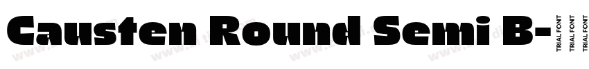Causten Round Semi B字体转换